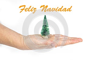 Detail of a woman`s hand holding a little Christmas tree with text in Spanish `Feliz Navidad` in white isolated background