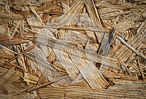 Detail of wood fiber glued board