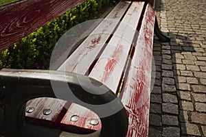 Detail of wooden bench in the city park with cobbles photo