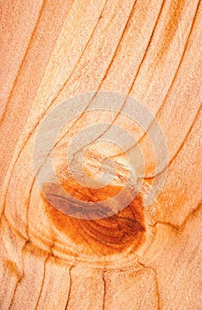 Detail of a wooden board with a bump