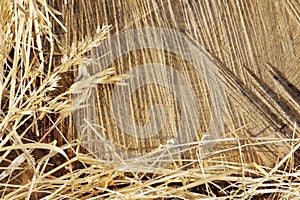 Detail of wooden cut texture and dry grass hay