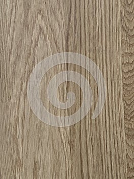 detail of wooden floor parquet
