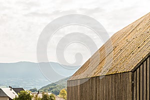 Detail of wooden slat facade and gable roof with moss texture