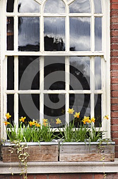 Detail of a wooden window and flowers box on brick wall. Manchester, England