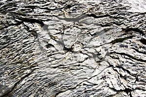 Detail of wrinkled limestone texture