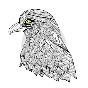 Detail zentangle eagle photo