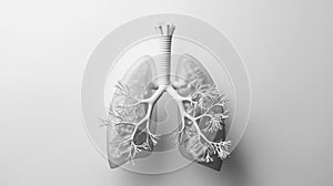 A detailed 3D render of human lungs and airways on a plain background, focusing on respiratory anatomy