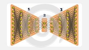 Detailed Autoencoder Network Illustration Encoding, Hidden Layer, and Decoding