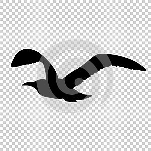 Detailed bird black silhouette isolated