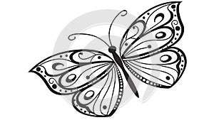 Detailed Butterfly Outline with Abstract Patterns, Nature Art, vector design Generative AI
