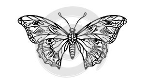 Detailed Butterfly Wing Outline Illustration, vector design Generative AI photo