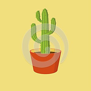 Detailed cactus in orange clay pot isolated on yellow background