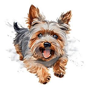 Detailed Cartoon Yorkie Dog in Watercolor Style