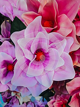 Detailed close up image of a pink rose in full bloom.