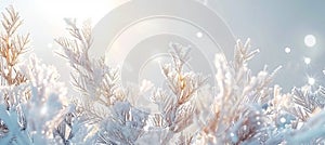 Detailed close up of intricate frost patterns on windowpanes during the winter season