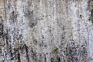 Detailed close up view on aged concrete walls with cracks and lots of strcuture