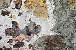 Detailed close up view on aged concrete walls with cracks and lots of structure