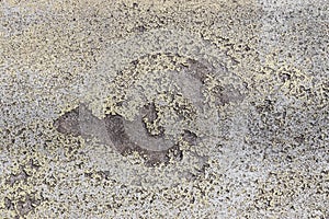 Detailed close up view on aged concrete walls with cracks and lots of structure