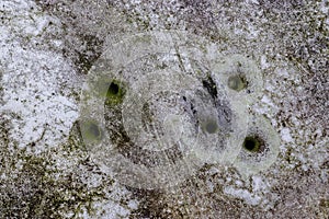 Detailed close up view on bullet holes of gunshots at a traffic sign