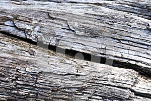 Detailed close up view on different wood surfaces showing planks logs and wooden walls in high resolution