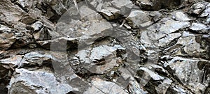 Natural Rock Texture Close-up