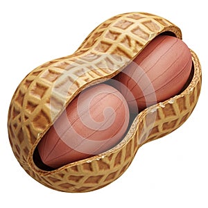 Close-up of an Open Peanut with Two Reddish- Brown Kernels Inside on a White Background