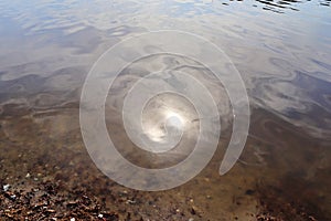 Detailed close up view on water surfaces with reflecting sunlight on the waves and ripples