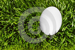 Detailní pohled zblízka na bílý vejce uhnízděný v zelená tráva 