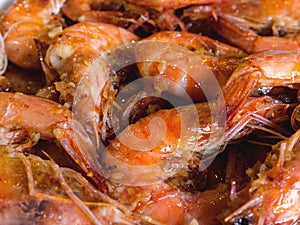Detailed Closeup of Garlic Shrimps bathed in Chili Sauce. A variation of Gambas al Ajillo