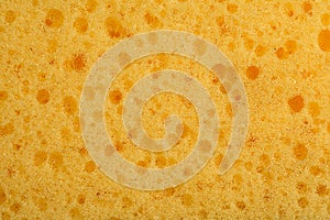 Detailed closeup macro of yellow sponge texture showing detailed holes and structure