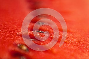 Detailed closeup of watermelon