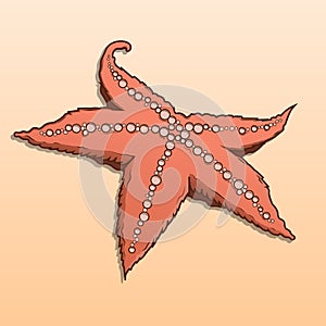 Detailed colored starfish isolated on beige background. Sea star.