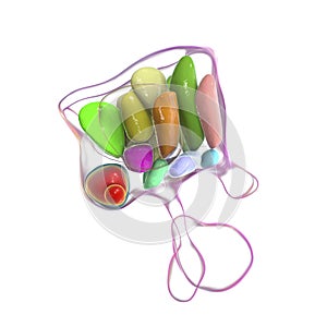 Hypothalamic nuclei, 3D illustration photo
