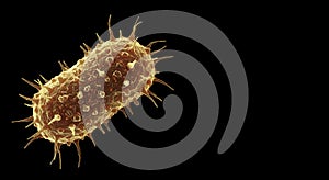 3D Rendering of a Spiky Bacterium on Black Background