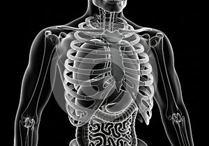 A detailed 3D rendering of a