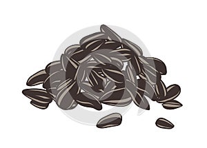 Detailed drawing of handful or pile of sunflower seeds or fruits. Kernels in hulls hand drawn on white background