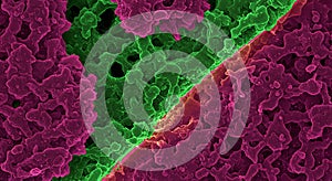 Detailed electron micrograph of a microscopic interface