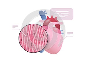 detailed explanation anatomical heart structure human body internal organ anatomy medicine healthcare concept