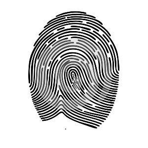 Detailed Fingerprint Illustration Security Identity Identification Concept Art