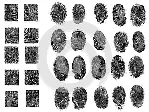 30 Detailed Fingerprints very high resolution photo