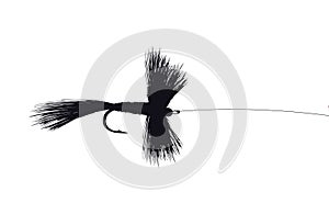 Detailed Fishing Fly