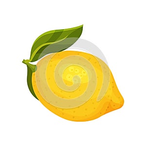 Detailed flat vector icon of bright yellow lemon with green leaf. Ripe citrus fruit. Culinary ingredient