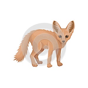 Detailed flat vector icon of cute fennec. Small pale fox with large pointed ears and fluffy tail. Wild animal of