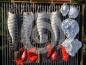 Detailed food and fish grilled on barbeque