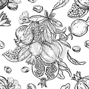 Detailed hand drawn black and white vector seamless pattern of garnet, grain, leaf. sketch. Elements pomegranate in