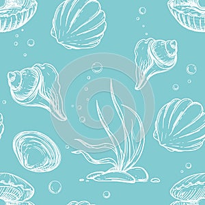 Detailed hand drawn blue and white illustration seamless pattern of sea shells, pearl. sketch. Vector. Elements in