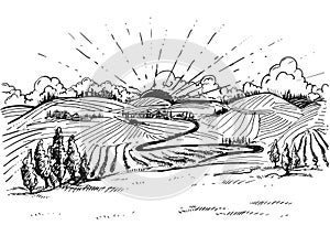 Detailed hand drawn ink black and white illustration of grapevine, vineyard field. sketch. Vector. Elements in graphic