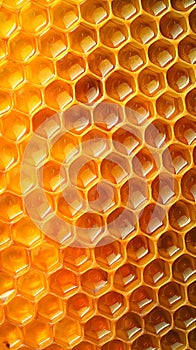 Detailed Honeycomb Texture Background with honey. Food, culinary, nature themes and Beekeeping