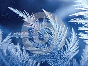 Detailed icy frost patterns forming delicate feather-like structures on a cold window with a soft blue winter background and