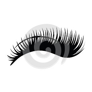 detailed illustration  of long eyelashes